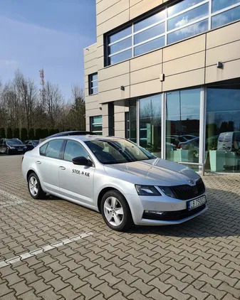 gołdap Skoda Octavia cena 43200 przebieg: 293000, rok produkcji 2019 z Gołdap